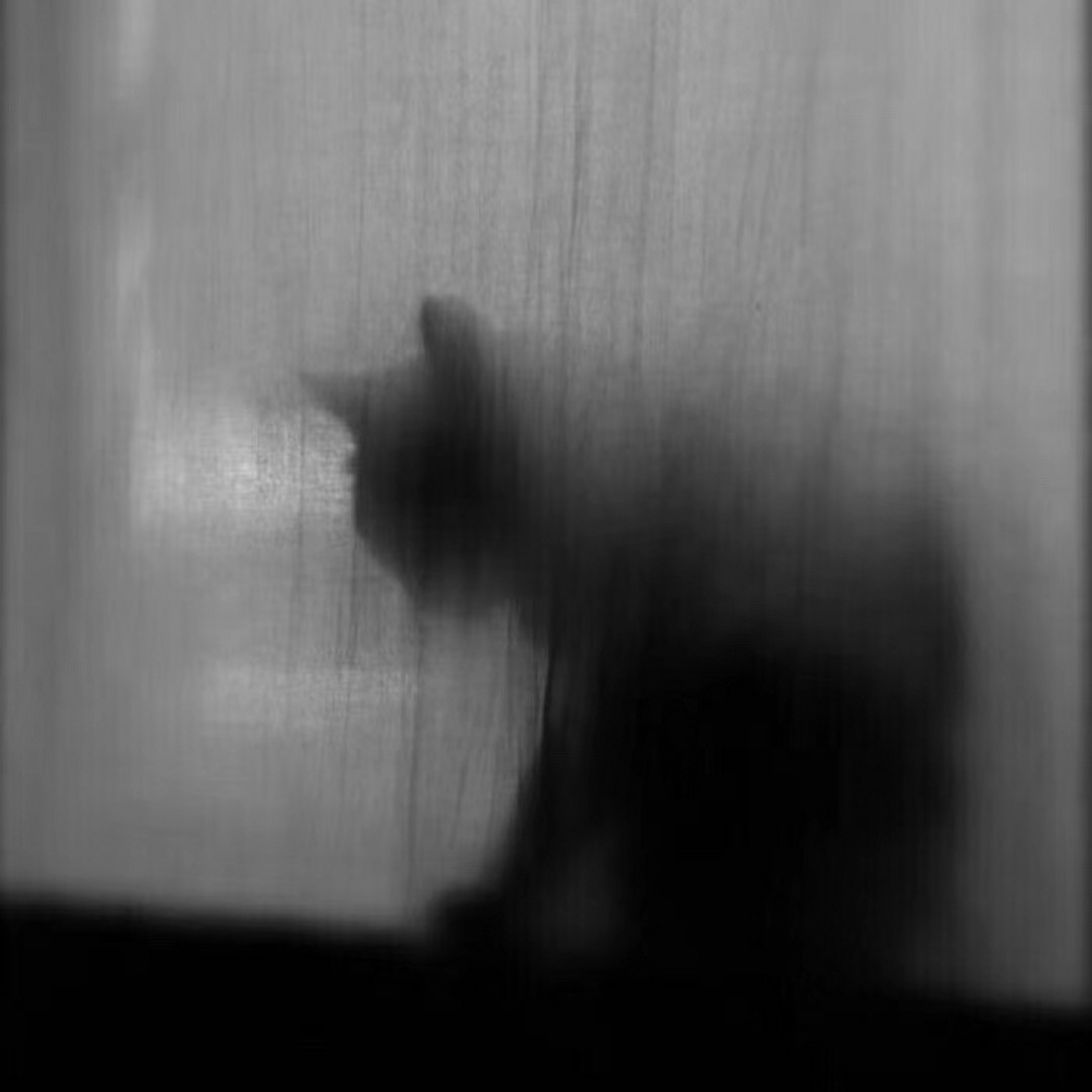 你什么时候被树打过