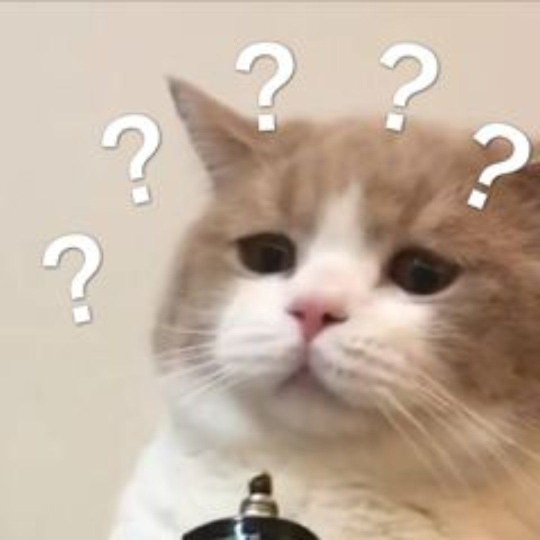 深黄的乌木小喵