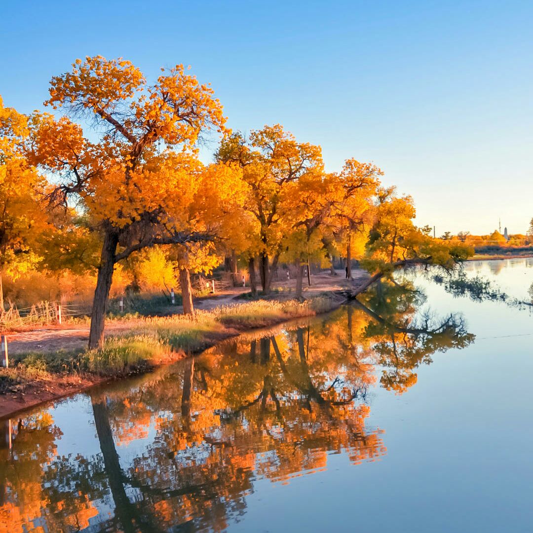 到底起个什么名才没被