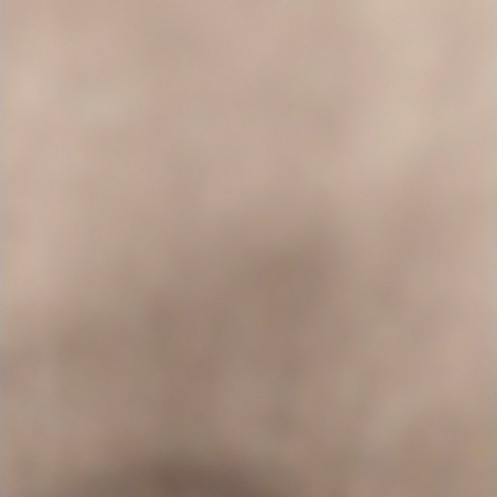 爱吃三丝炒肉的风华梅李