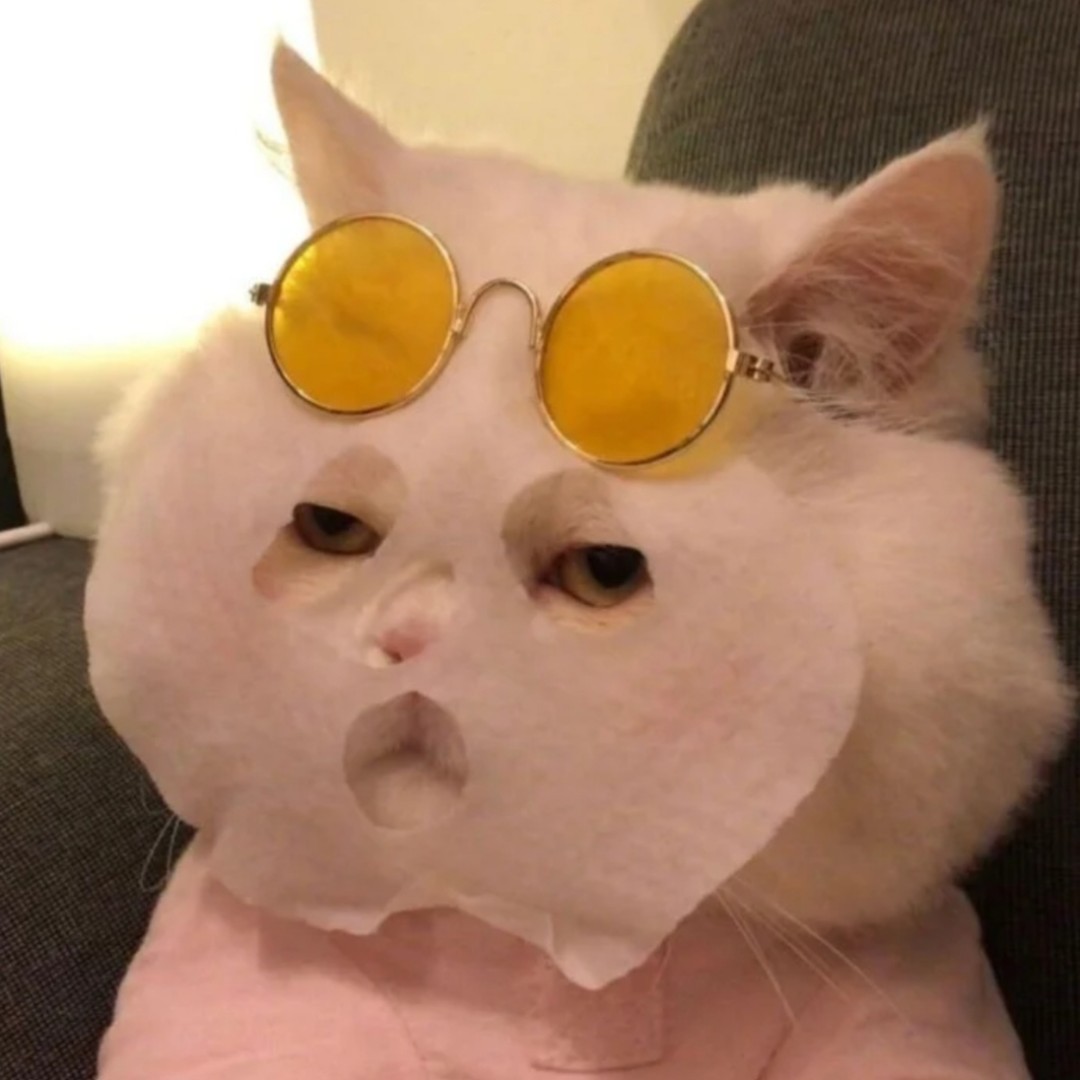 大西洋逃跑的豆干