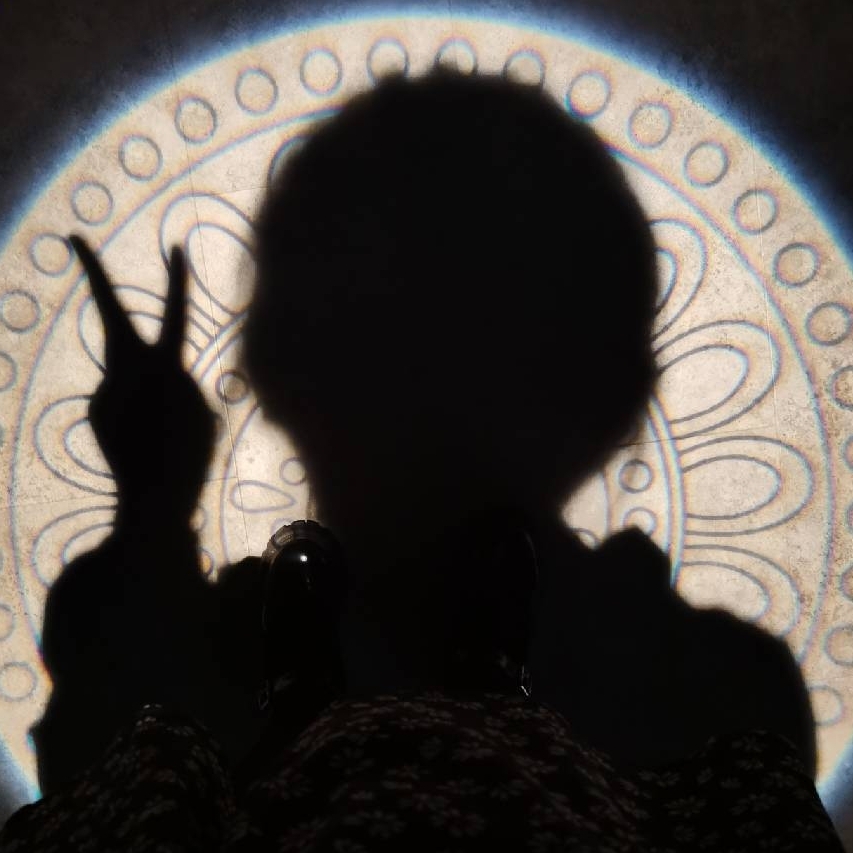 八卦快递员郑郑