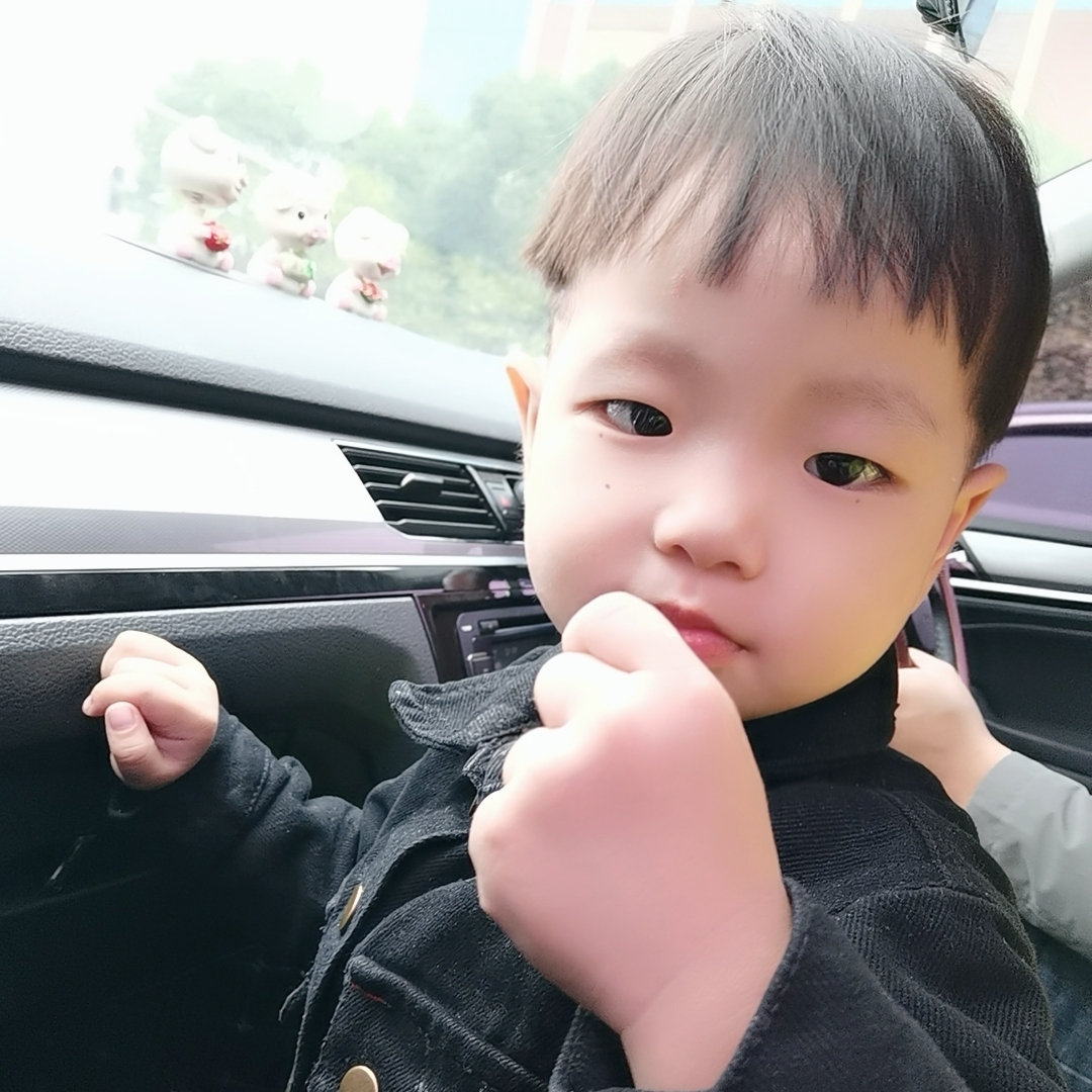 爱吃小白菜饺的钻石