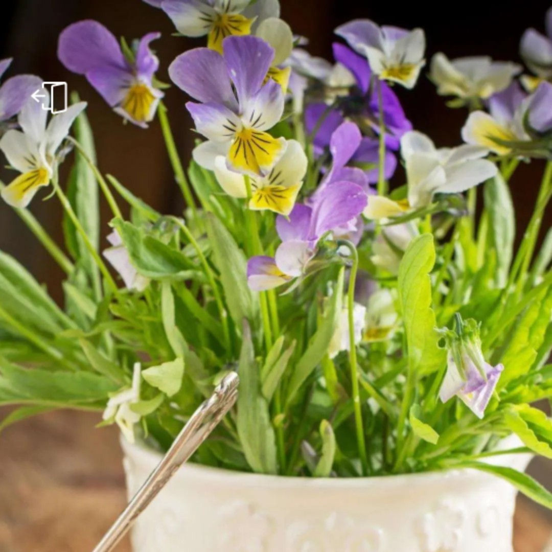 开心宝宝yiling88