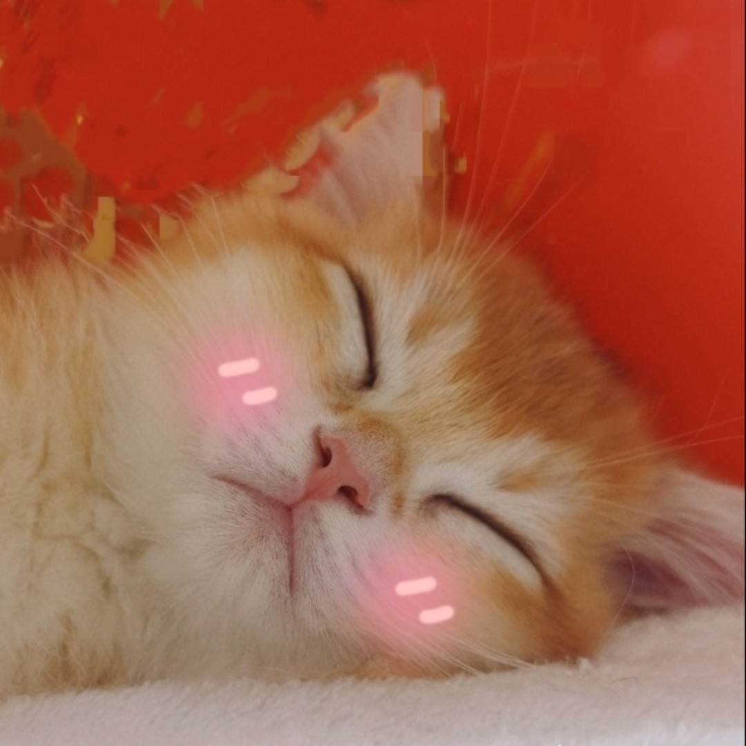 冰冰奶绿加珍珠