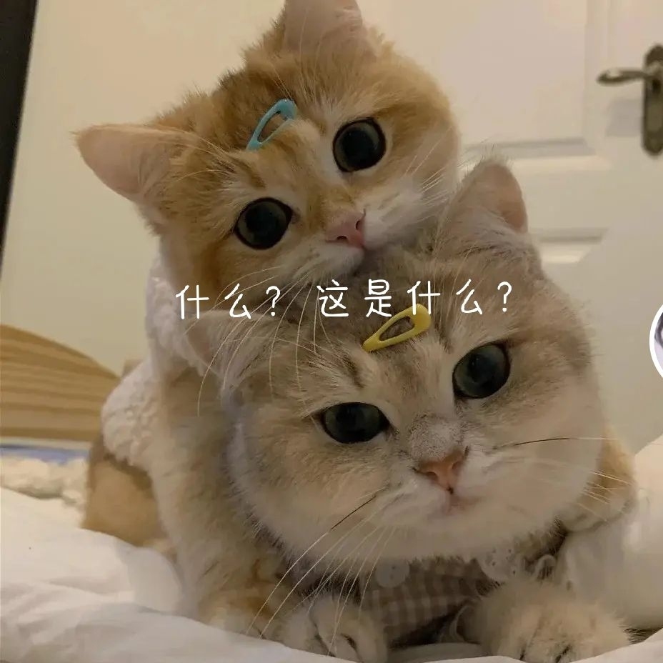 课桌上的橡皮儿