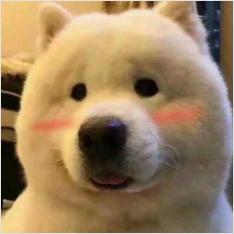 大脑斧和小脑斧^-^