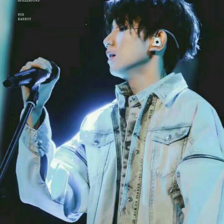 爱吃蛋花酒糟的黑莓