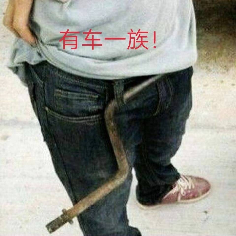 狮子身上的跳蚤