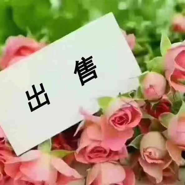 很好很好好好爱你