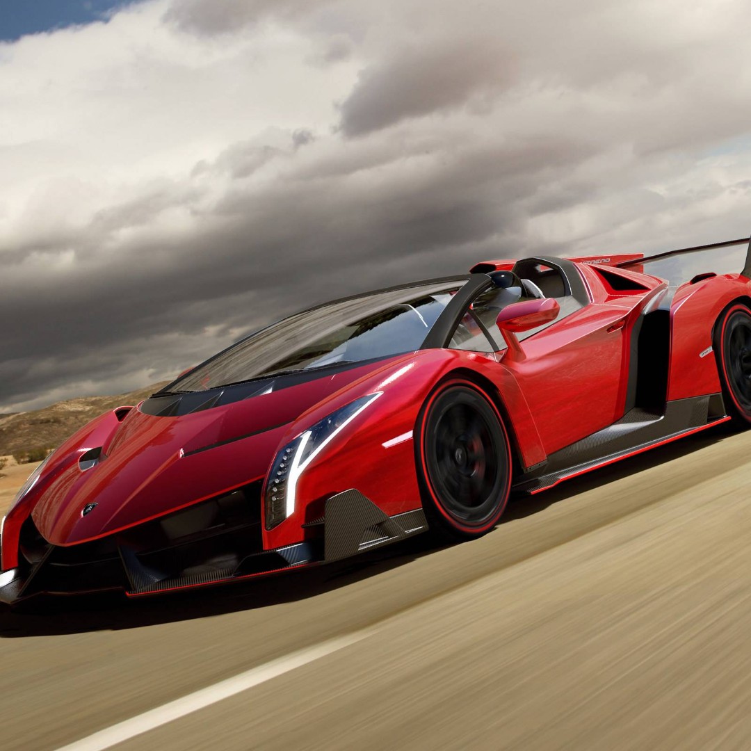 爱吃肉的胖胖猪丫