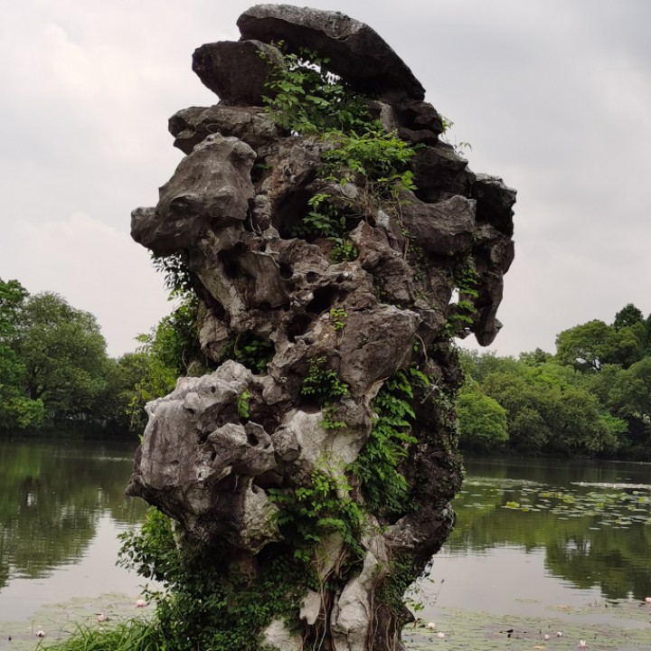 爱吃糟卤鸭舌的星辰