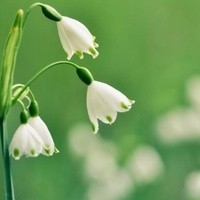 爱你三百六十一天