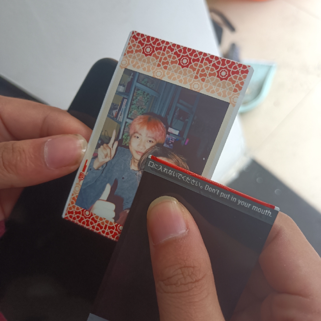 骑摩托的小熊猫