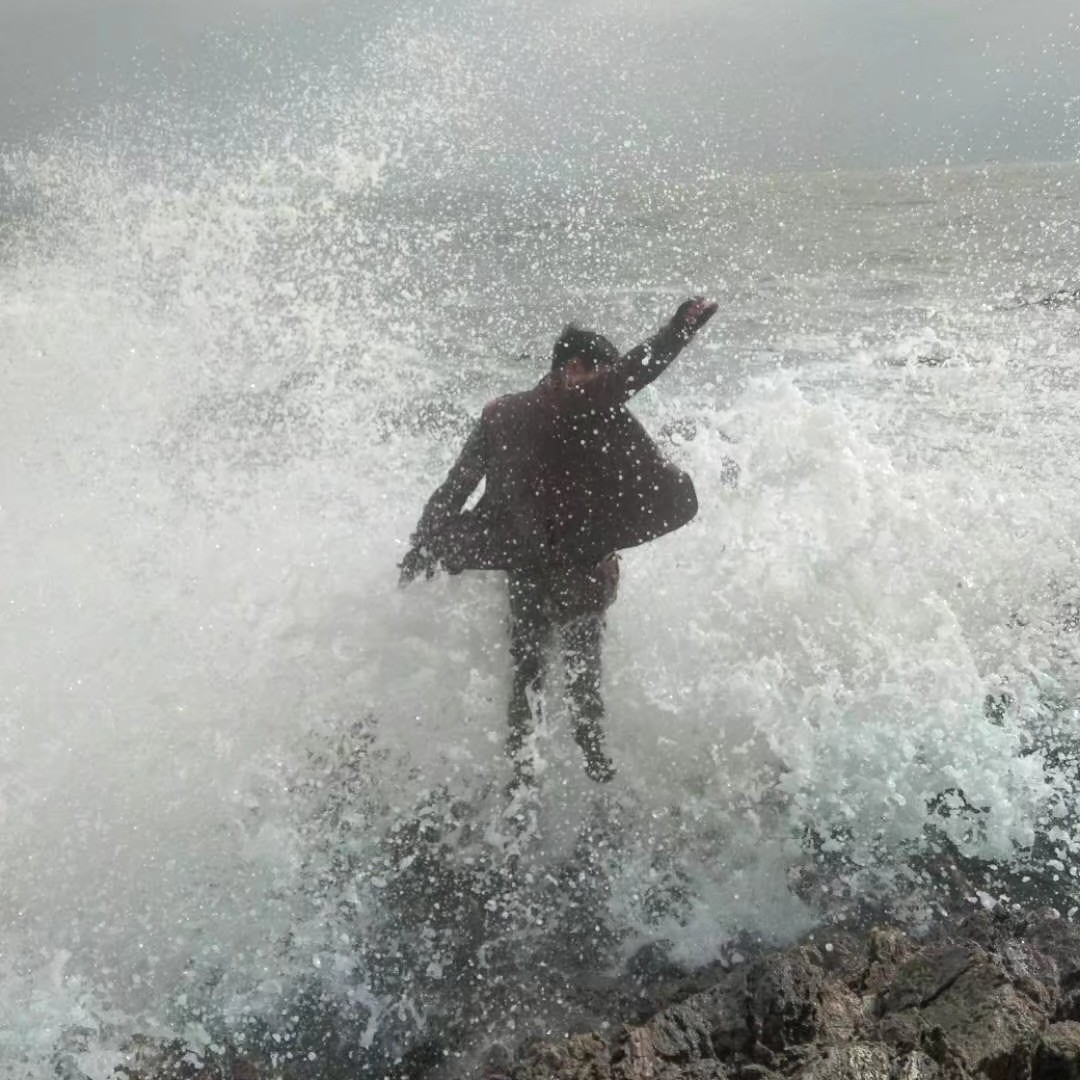 黑漆漆的藤露兜属很有爱