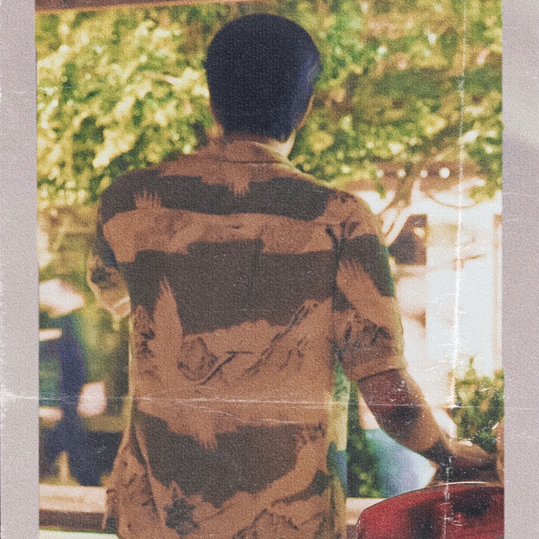 一颗不爱香菜的菠崽