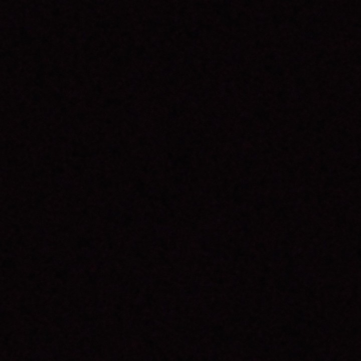 爱吃锅烧丝瓜的顾念