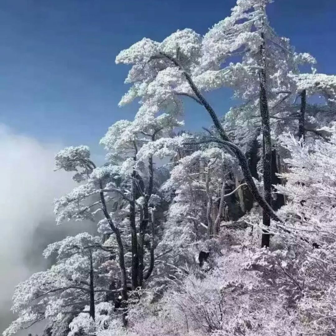 海边的小船