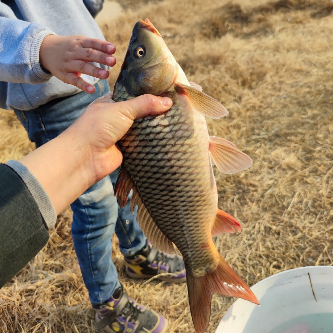 人到中年不孤单