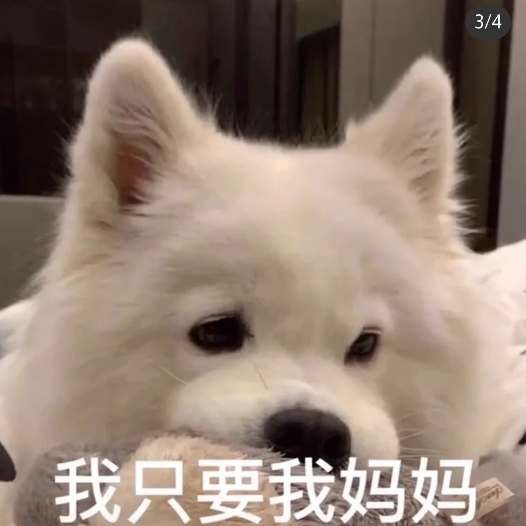 摩尔庄园的红鼻子