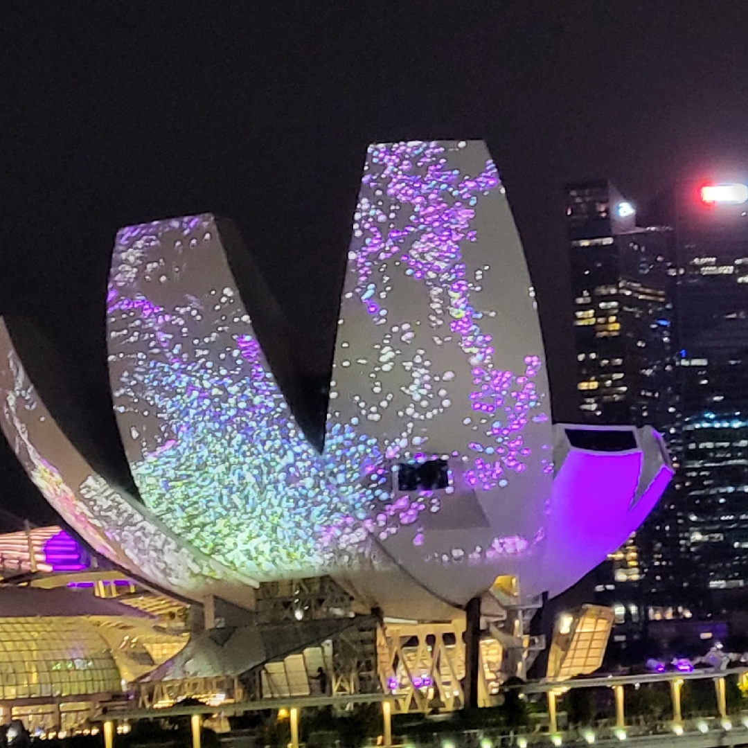 爱精致优雅的生活