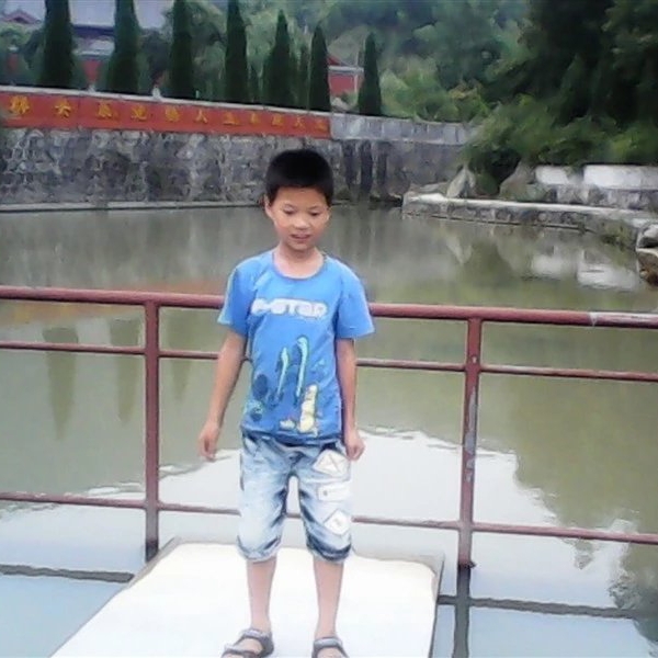 爱吃排骨炖藕的团团