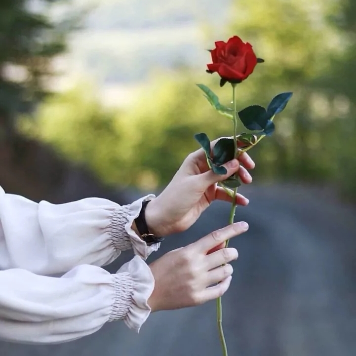 爱吃姜炒蛋饭的蜜桔