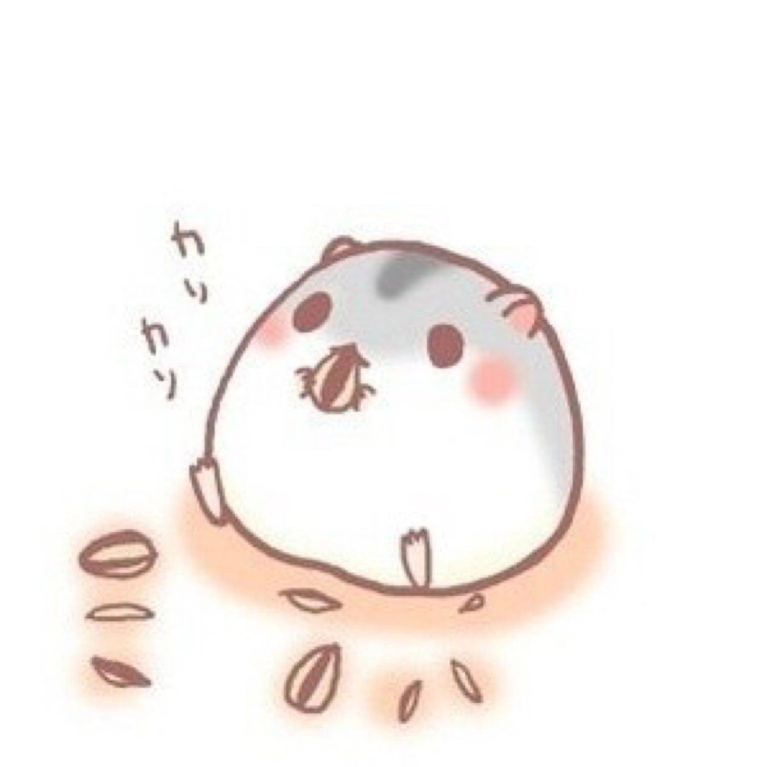 小猫小猫爱吃啥