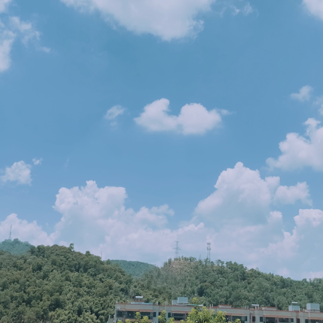 爱吃一品豆渣的阿花