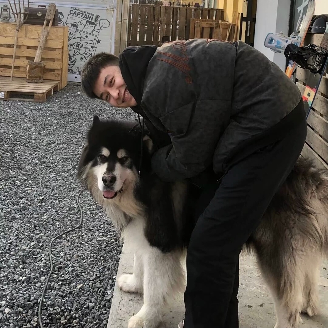 爱吃千层葱饼的牛奶