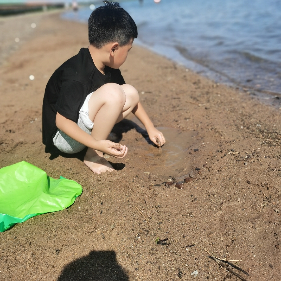 爱吃东北大酱的小西