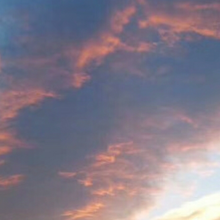 爱吃酸奶梨子的方块80