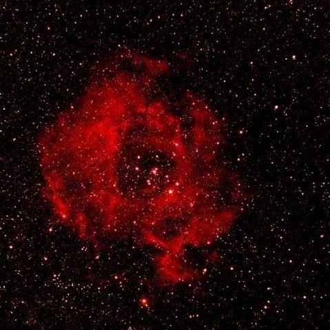 开水烫头真上头