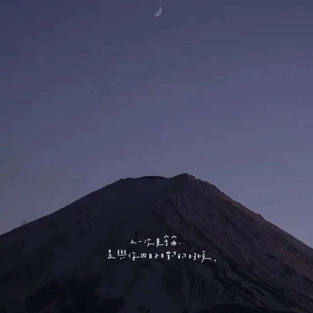 最后一片玫瑰赠予你