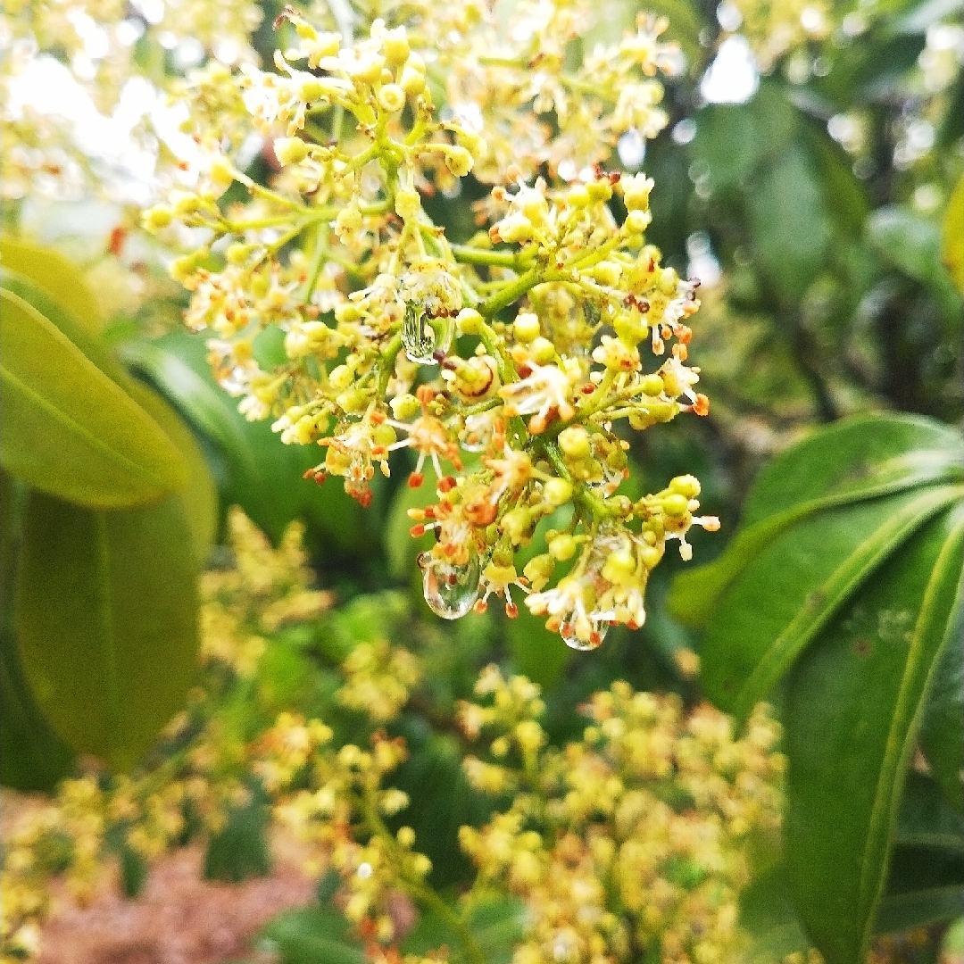 辣条女孩长不高