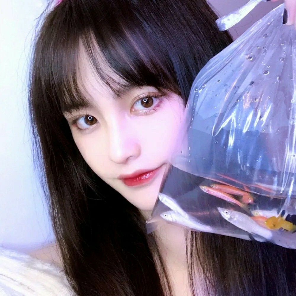 爱吃三丝炒肉的乌冬面