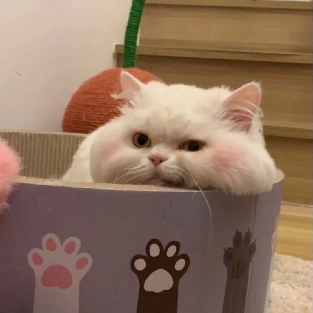 白鬼鬼鬼鬼鬼鬼鬼鬼鬼