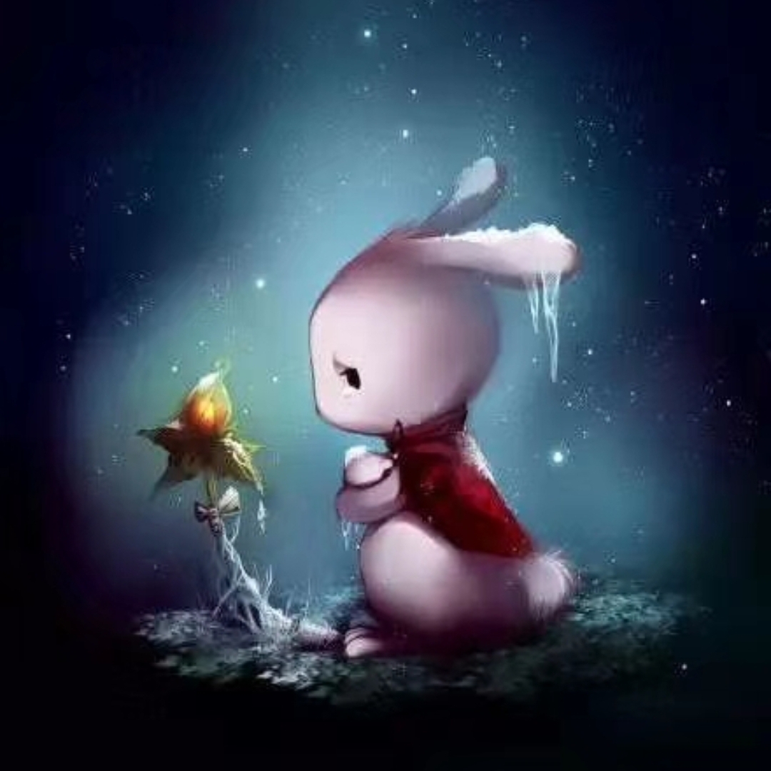 爱吃黑米饭团的地瓜48