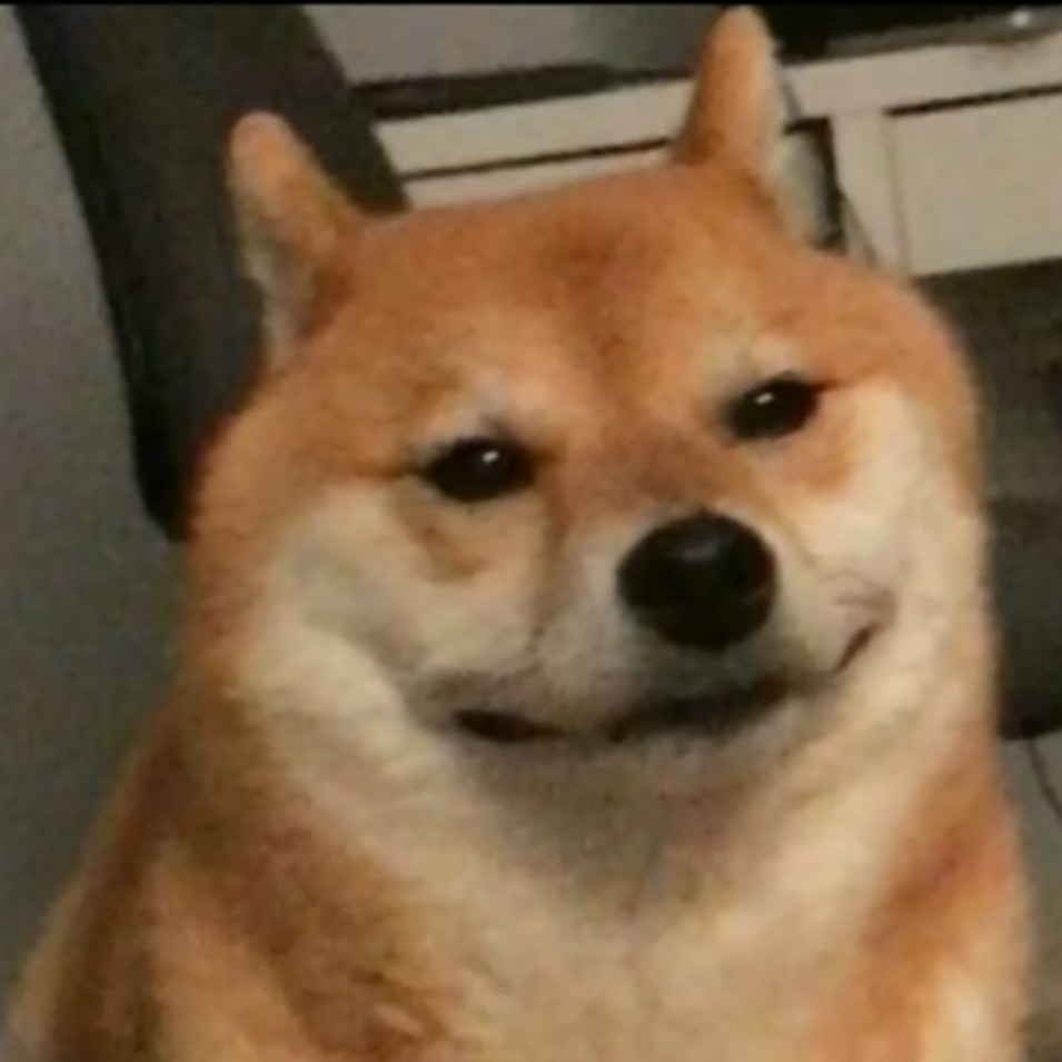 98岁未婚小前锋