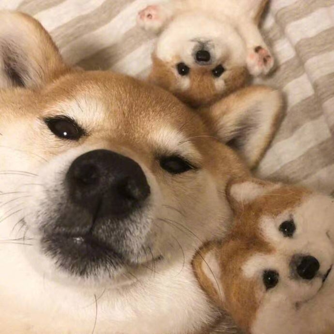 小李就要买买买