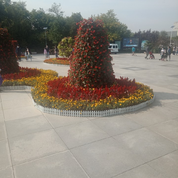 爱吃水果凉糕的东东53