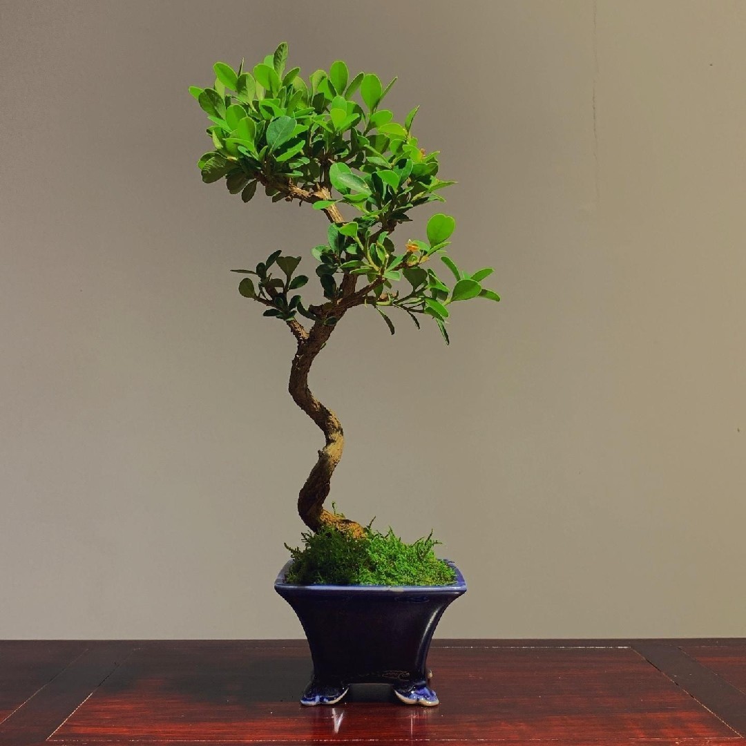 不要用别人的错误惩罚自己