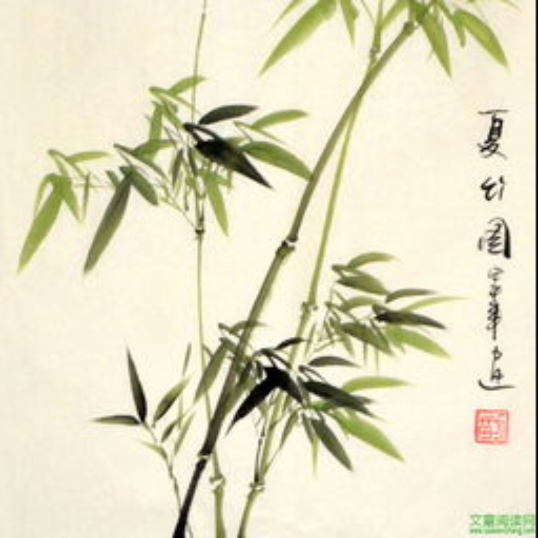 快乐可爱的小松鼠