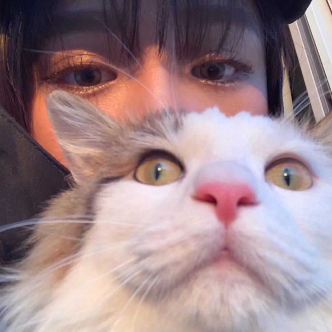 爱吃三仙豆腐的卡卡西