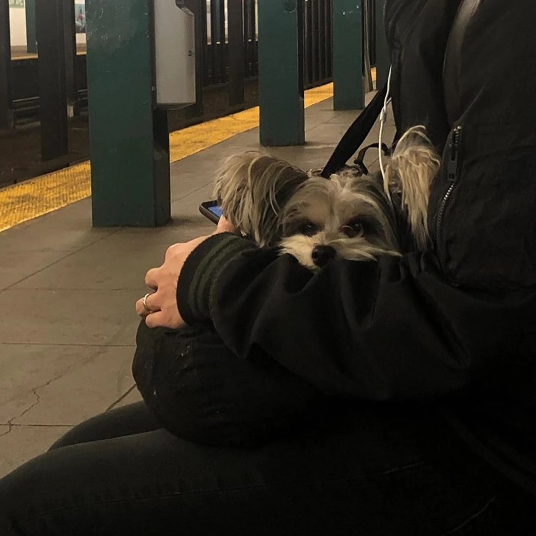 阿law要劲要有钱