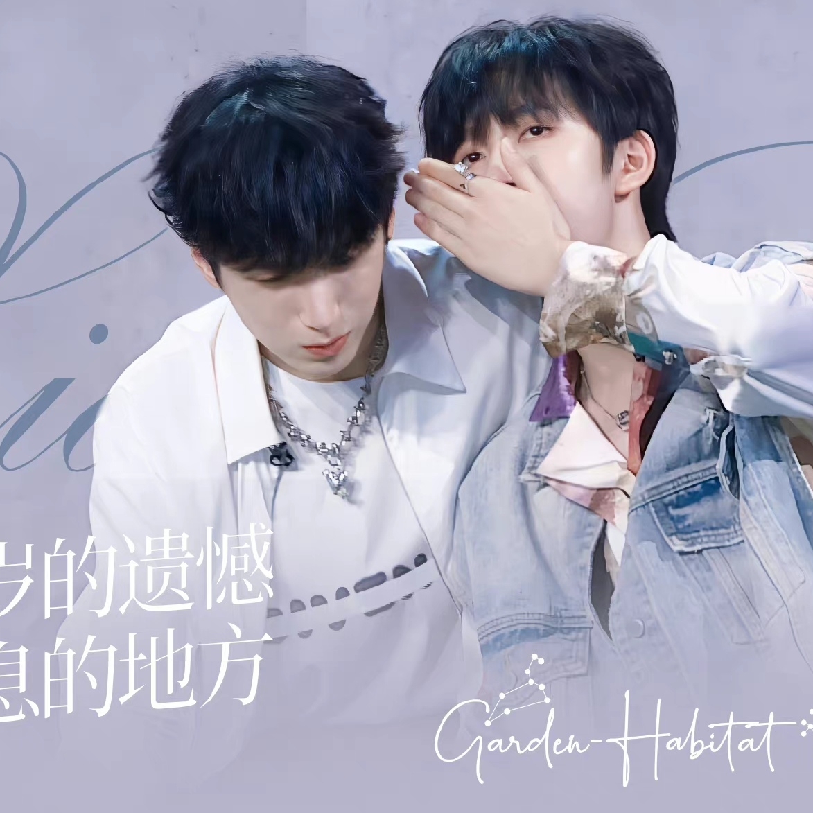 爱和霖霖玩的小熊