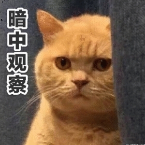 啊阿兹猫