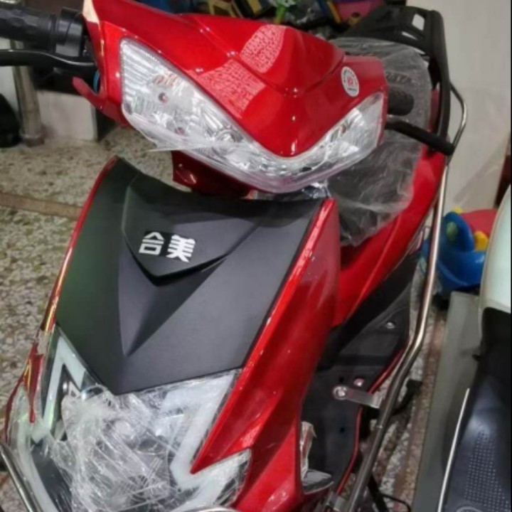 深红色的不凡杜鹃24