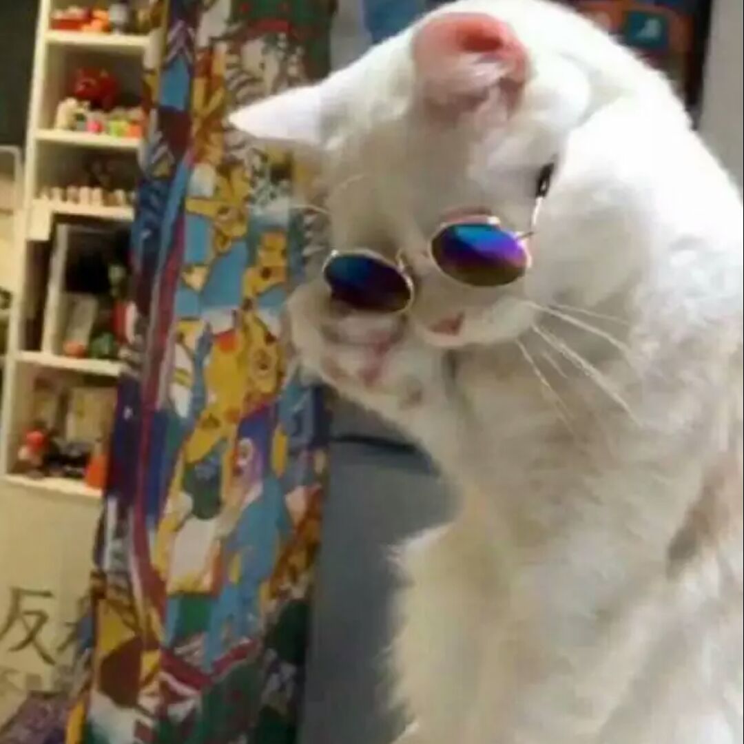 橙汁儿味的阿杉杉