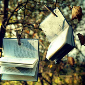 半生归来还少年